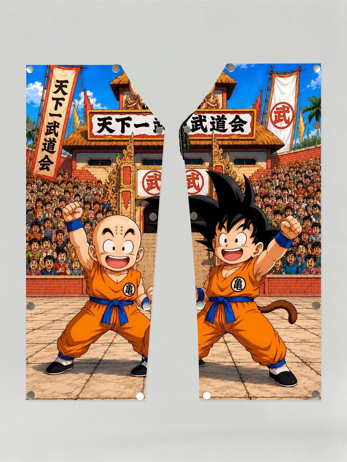 Dragon Ball Goku & Krillin Tenkaichi Budokai Patch