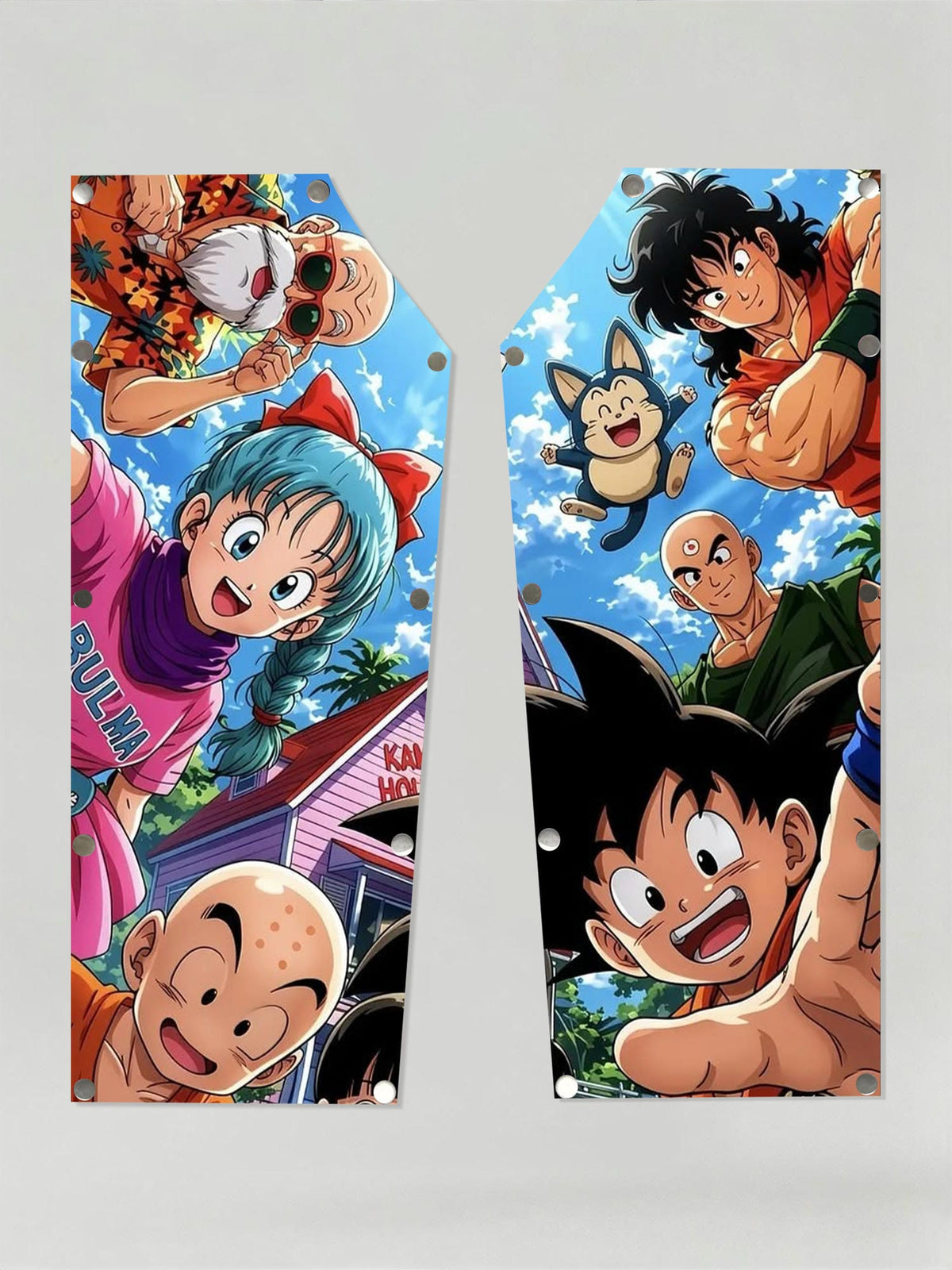 Dragon Ball Kame house snap-on cotton Patches